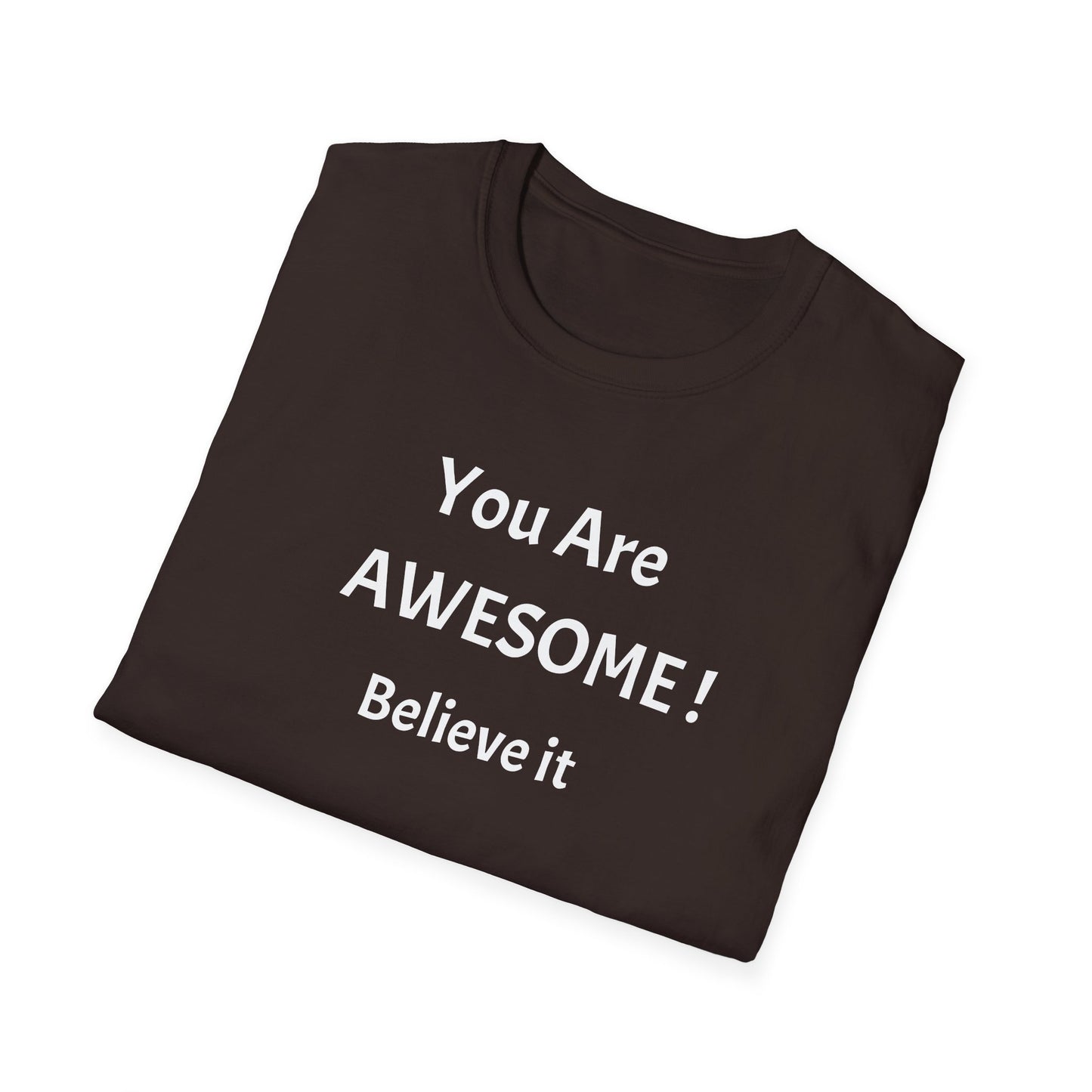 You Are AWESOME! Believe It —T-Shirt